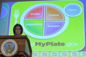 My Plate Diet - Food Plate Diet