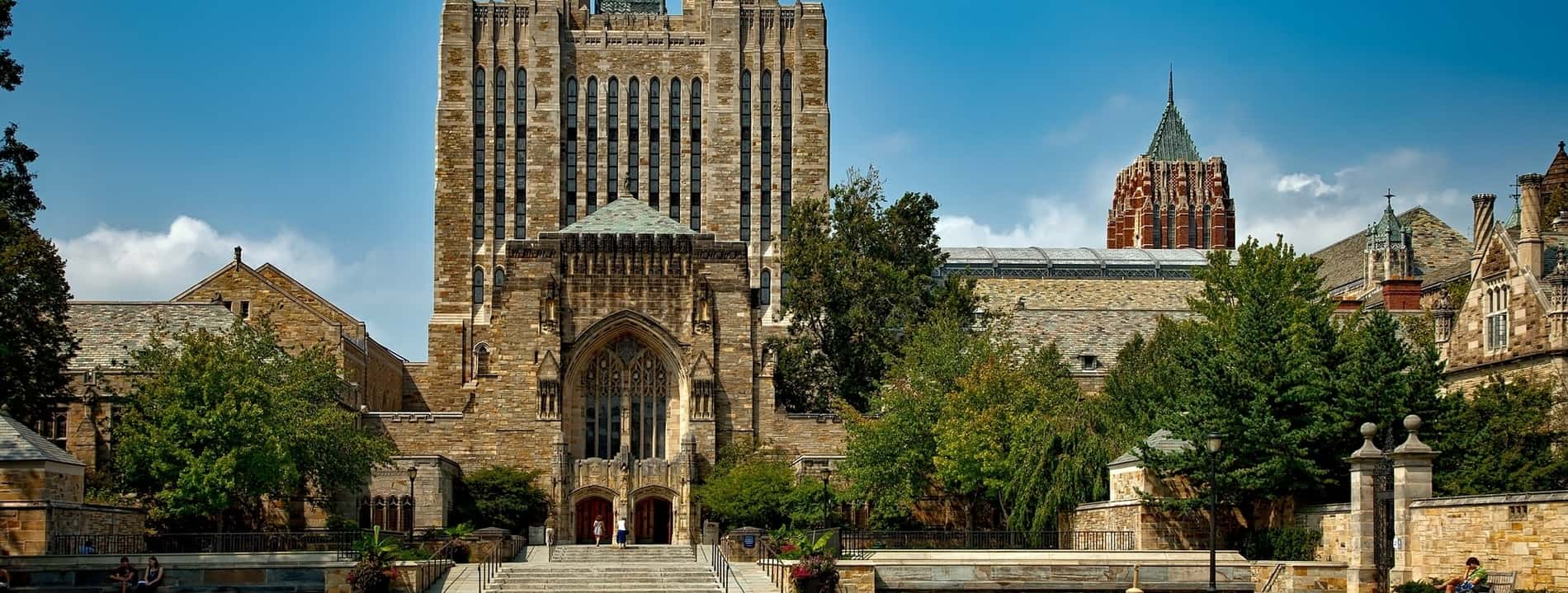 university ivy league schools