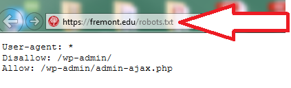 Robots.txt File