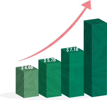 Medical Coding Salary and Job Growth